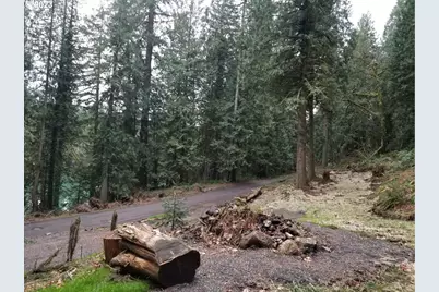 21970 S River Lake Rd, Estacada, OR 97023 - Photo 5