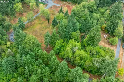 133 Silverthistle Rd, Winlock, WA 98596 - Photo 11