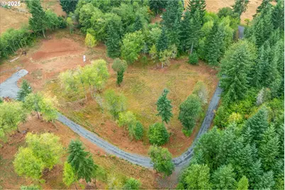 133 Silverthistle Rd, Winlock, WA 98596 - Photo 17