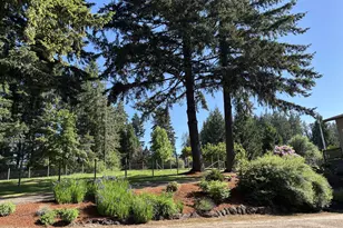 15612 SE 202nd Ave, Damascus, OR 97089 - Photo 3