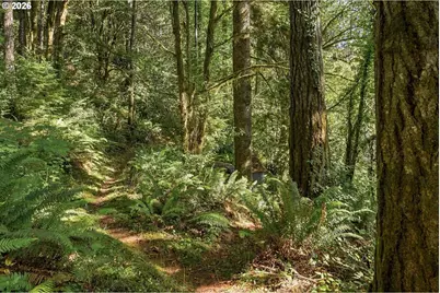 94921 Lindgren Ln, North Bend, OR 97459 - Photo 43