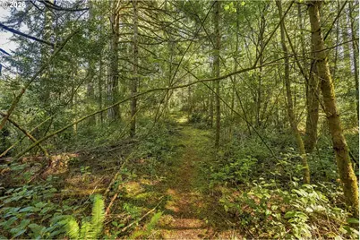 94921 Lindgren Ln, North Bend, OR 97459 - Photo 39