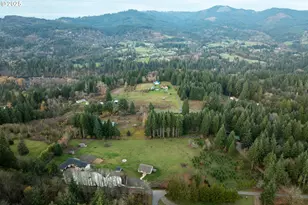 3900 NE 425th St, Woodland, WA 98674 - Photo 47