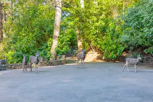 94442 Carlson Heights Ln, North Bend, OR 97459 - Photo 41