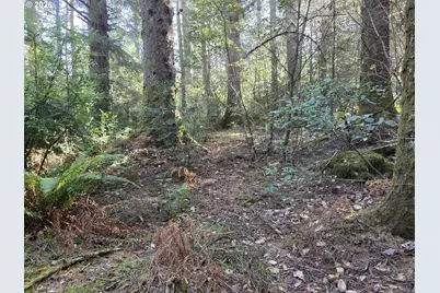 Greggs Creek Rd #300, Gold Beach, OR 97444 - Photo 13