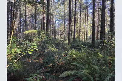 Greggs Creek Rd #300, Gold Beach, OR 97444 - Photo 9