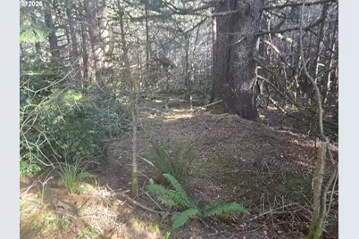 Greggs Creek Rd #300, Gold Beach, OR 97444 - Photo 27