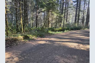 Greggs Creek Rd #300, Gold Beach, OR 97444 - Photo 1