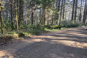 Greggs Creek Rd, Gold Beach, OR 97444 - Photo 1