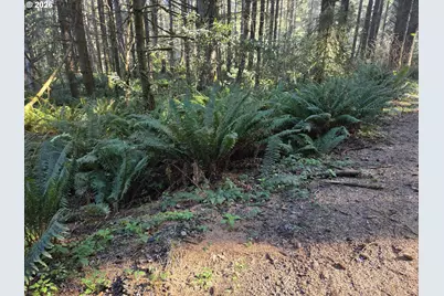 Greggs Creek Rd #300, Gold Beach, OR 97444 - Photo 3