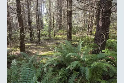 Greggs Creek Rd #300, Gold Beach, OR 97444 - Photo 39