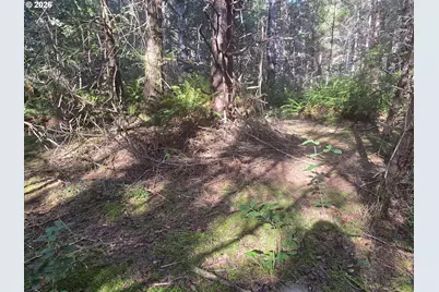 Greggs Creek Rd #300, Gold Beach, OR 97444 - Photo 31