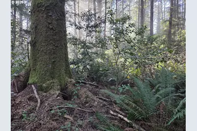 Greggs Creek Rd #300, Gold Beach, OR 97444 - Photo 21