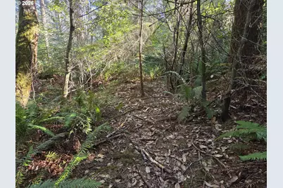 Greggs Creek Rd #300, Gold Beach, OR 97444 - Photo 3