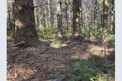 Greggs Creek Rd #300, Gold Beach, OR 97444 - Photo 41