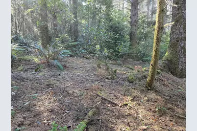 Greggs Creek Rd #300, Gold Beach, OR 97444 - Photo 11