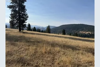Wallowa Lake Hwy, Elgin, OR 97827 - Photo 5
