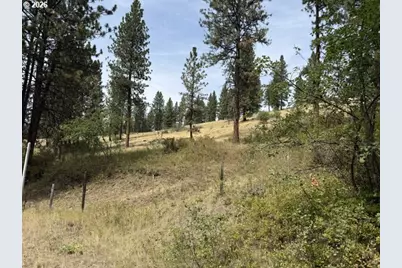 Wallowa Lake Hwy, Elgin, OR 97827 - Photo 13