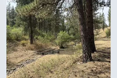 Wallowa Lake Hwy, Elgin, OR 97827 - Photo 11
