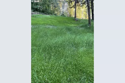18820 NE Sunrise Ln, Yacolt, WA 98675 - Photo 45