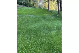 18820 NE Sunrise Ln, Yacolt, WA 98675 - Photo 45
