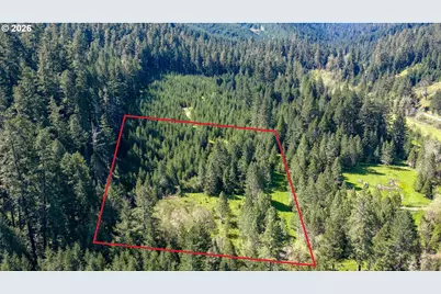Berry Creek Rd, Winston, OR 97496 - Photo 3