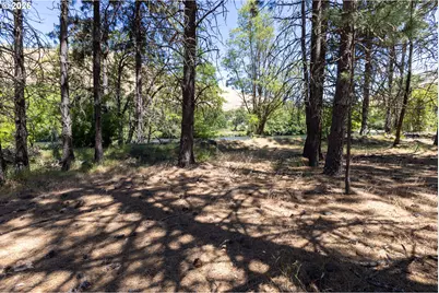 992 Highway 142, Lyle, WA 98635 - Photo 15