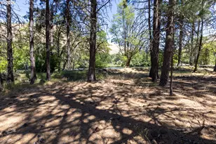 992 Hwy 142, Lyle, WA 98635 - Photo 15