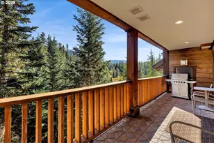 31254 E Collins Lake Rd, Government Camp, OR 97028 - Photo 13