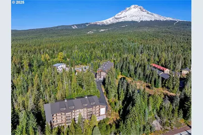 31254 E Collins Lake Rd #22, Government Camp, OR 97028 - Photo 3