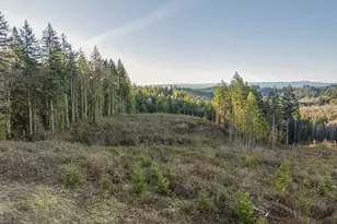 16424 NW Rock Creek Rd, Portland, OR 97231 - Photo 13