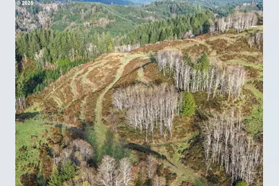 96312 Shutters Creek Ln, North Bend, OR 97459 - Photo 7