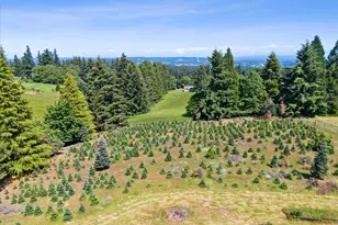 27616 SW 170th Ave, Sherwood, OR 97140 - Photo 21