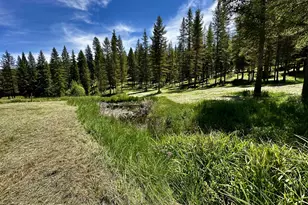 48497 Antelope Peak Rd, North Powder, OR 97867 - Photo 41
