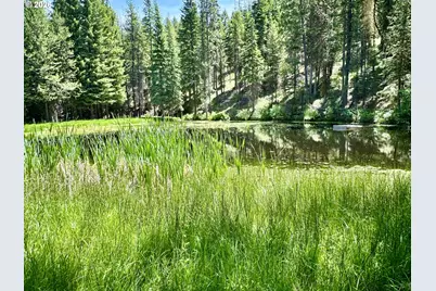48497 Antelope Peak Rd, North Powder, OR 97867 - Photo 3