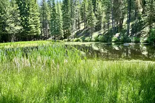 48497 Antelope Peak Rd, North Powder, OR 97867 - Photo 3
