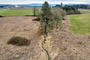 12403 S Eby Rd, Molalla, OR 97038 - Photo 13