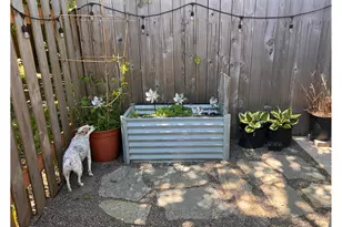 7071 NE 17th Ave, Portland, OR 97211 - Photo 27