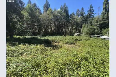 718 Lees Creek Rd, Myrtle Creek, OR 97457 - Photo 7