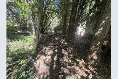 718 Lees Creek Rd, Myrtle Creek, OR 97457 - Photo 3