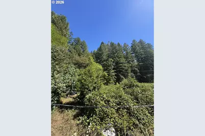 718 Lees Creek Rd, Myrtle Creek, OR 97457 - Photo 9