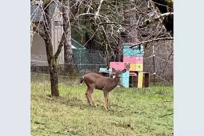 90416 Sheffler Rd, Elmira, OR 97437 - Photo 39