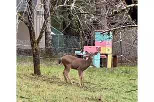 90416 Sheffler Rd, Elmira, OR 97437 - Photo 39