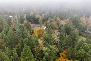 19493 Redwood Hwy, Selma, OR 97538 - Photo 37