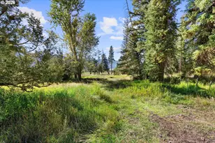 65237 Green Valley Rd, Enterprise, OR 97828 - Photo 45