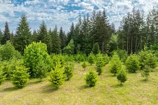 3900 NE 425th St, Woodland, WA 98674 - Photo 45
