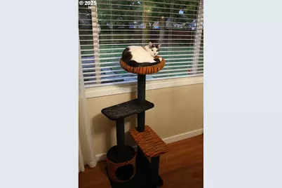 332 S Tarrybrooke Dr, Cornelius, OR 97113 - Photo 23