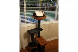 332 S Tarrybrooke Dr, Cornelius, OR 97113 - Photo 23