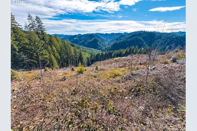 Upper Smith River Rd #TL1500, Reedsport, OR 97467 - Photo 25