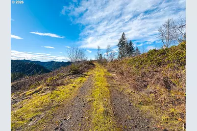 Upper Smith River Rd #TL1500, Reedsport, OR 97467 - Photo 23